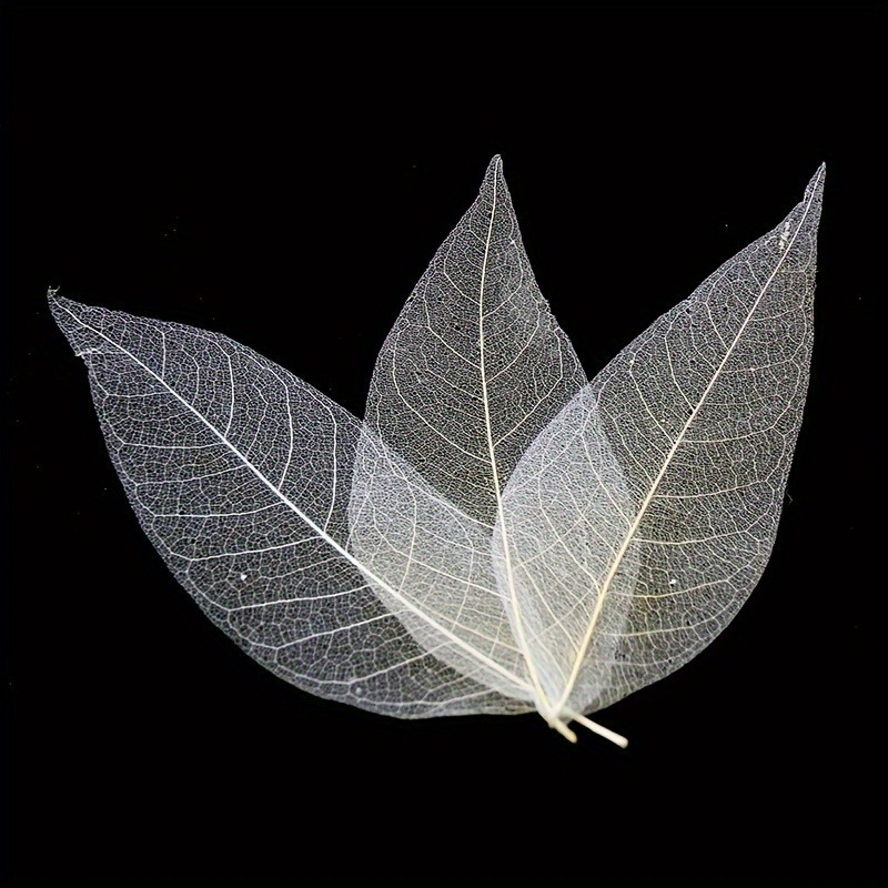 Art Craft With Leaves - 10pcs Art Deco Wooden Leaf Veins