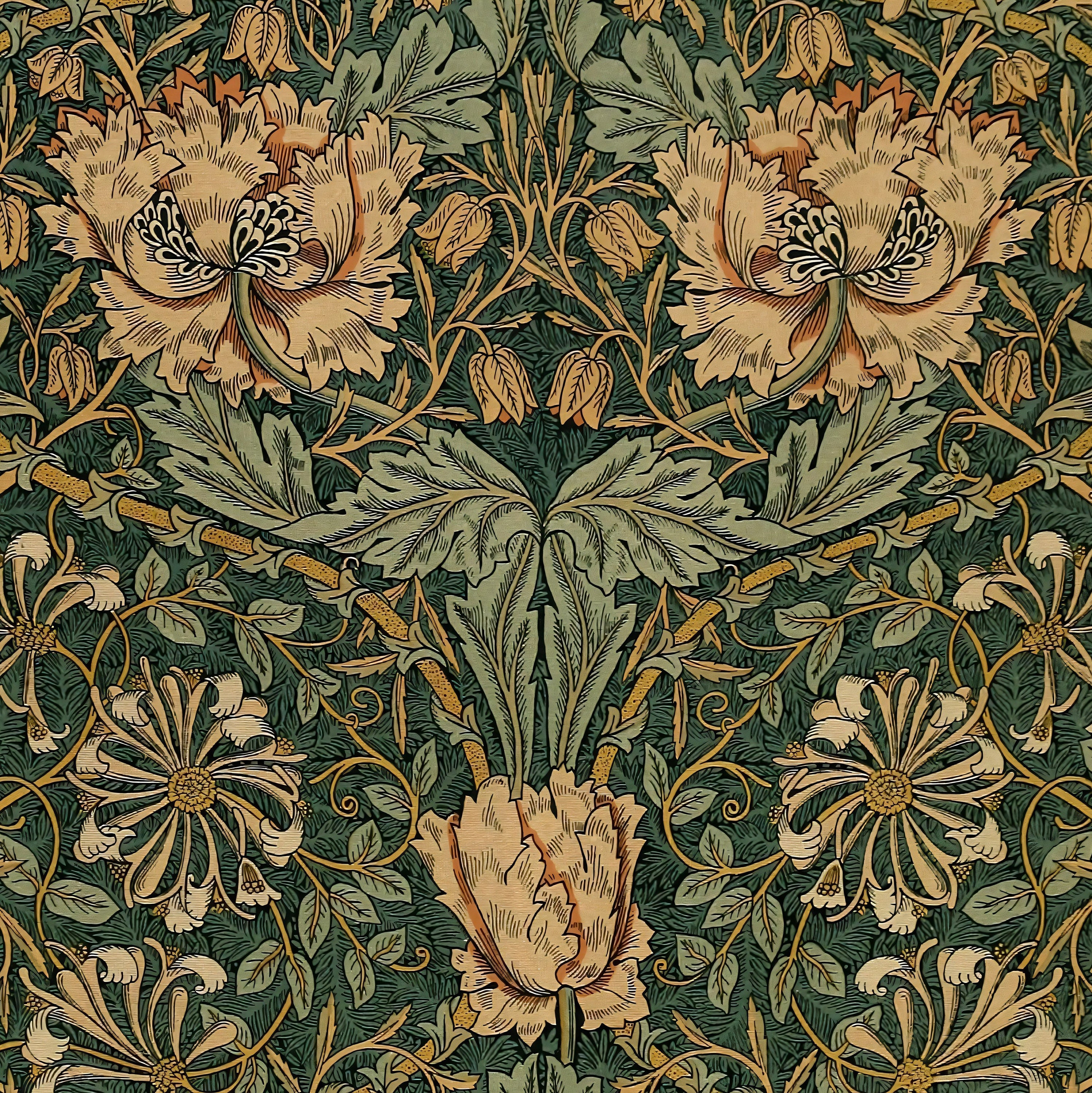 1PC William Morris Honeysuckle - Art Craft William Morris ulasan dan harga