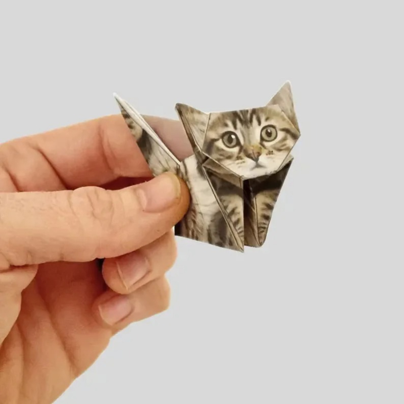 Creative DIY Origami Paper Set - Art Craft Cat ulasan dan harga