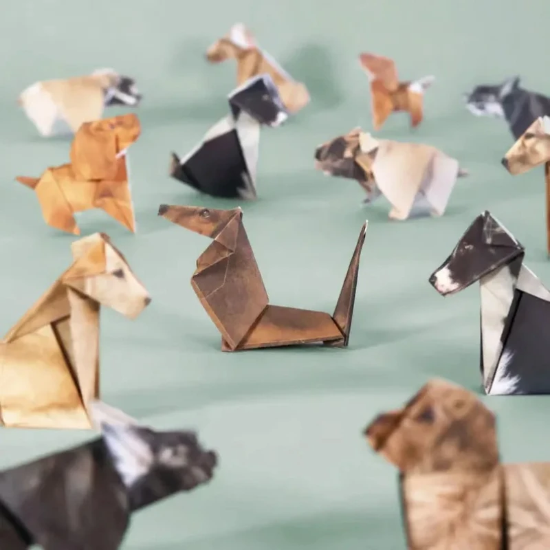 Creative DIY Origami Paper Set - Art Craft Cat ulasan dan harga