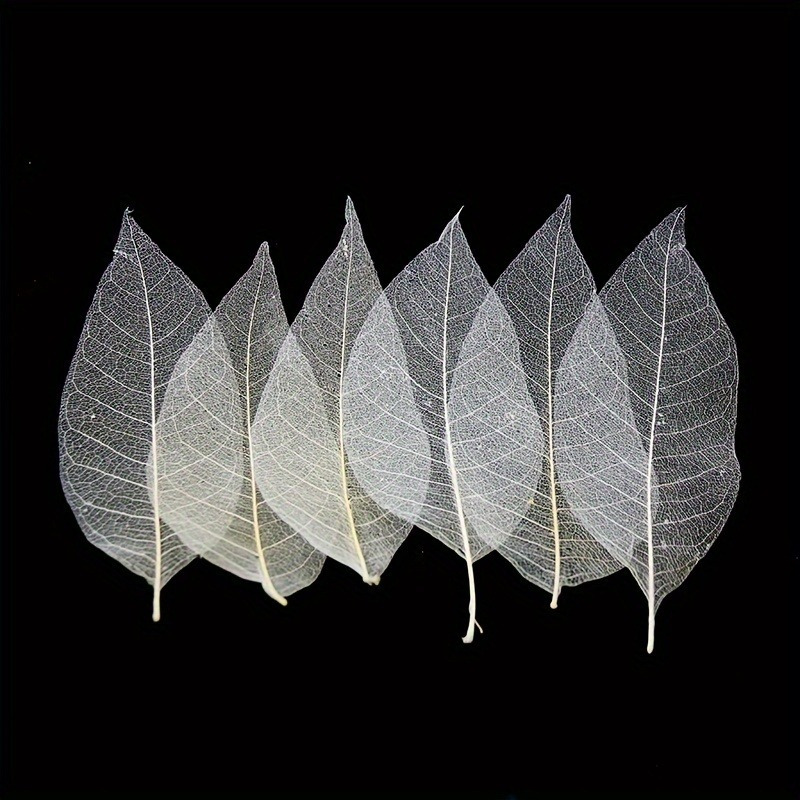 10pcs Art Deco Wooden Leaf Vei - Art Craft With Leaves ulasan dan harga