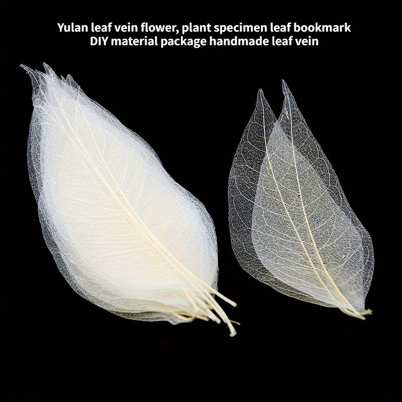 10pcs Art Deco Wooden Leaf Vei - Art Craft With Leaves ulasan dan harga