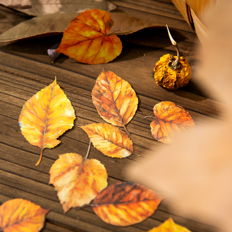 Journal GO 20pcs Golden Autumn - Art Craft With Leaves ulasan dan harga
