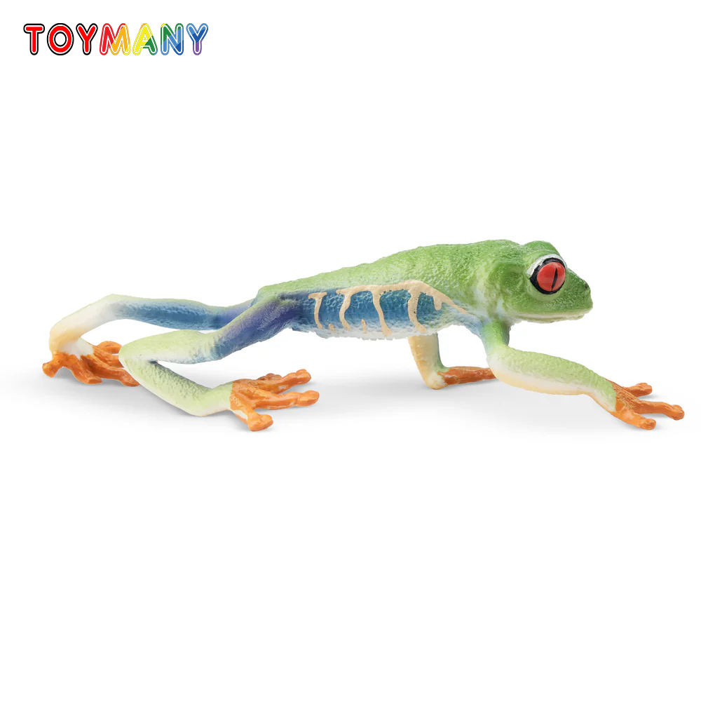 Toymany Simulation Red-eyed Tr - Art Craft Eyes ulasan dan harga