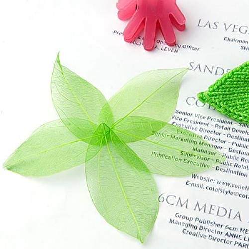 Natural Catbrier Skeleton Leav - Art Craft With Leaves ulasan dan harga