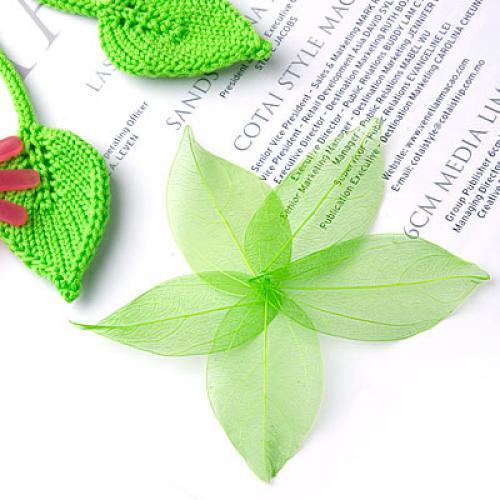 Natural Catbrier Skeleton Leav - Art Craft With Leaves ulasan dan harga