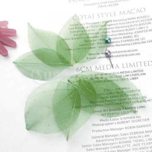 Natural Catbrier Skeleton Leav - Art Craft With Leaves ulasan dan harga