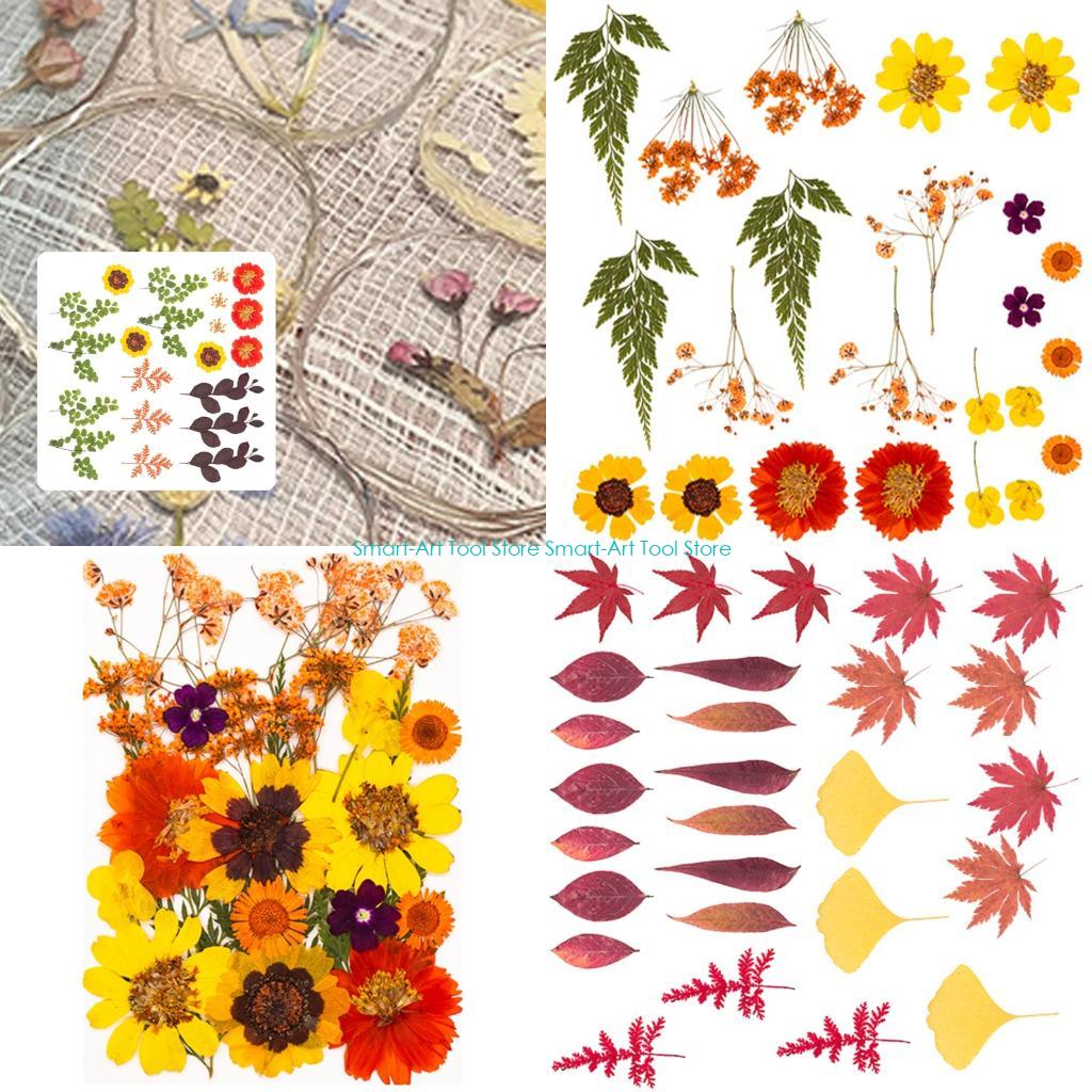 E1PB Natural Dry Flower Leaves - Art Craft With Leaves ulasan dan harga