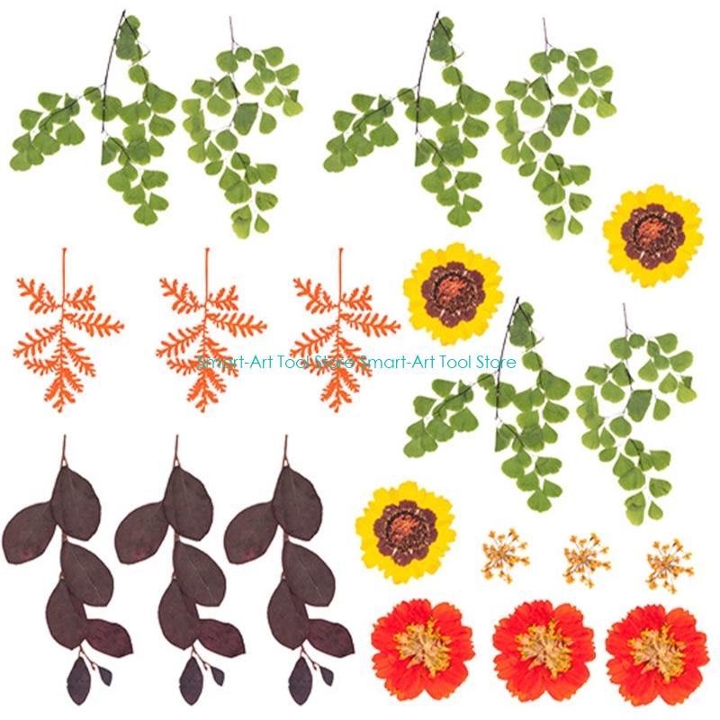 E1PB Natural Dry Flower Leaves - Art Craft With Leaves ulasan dan harga
