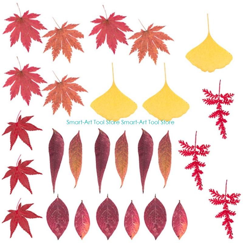 E1PB Natural Dry Flower Leaves - Art Craft With Leaves ulasan dan harga